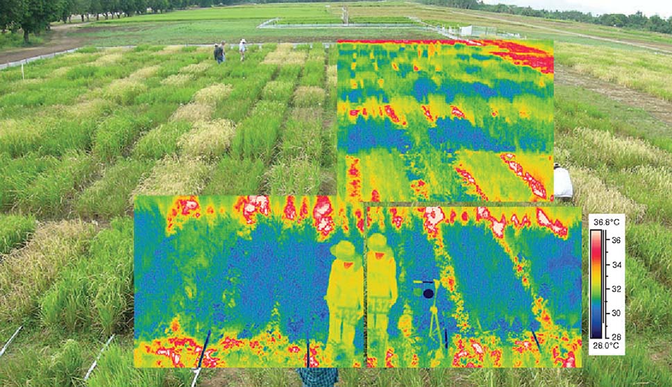 Thermal imaging uses for farmers
