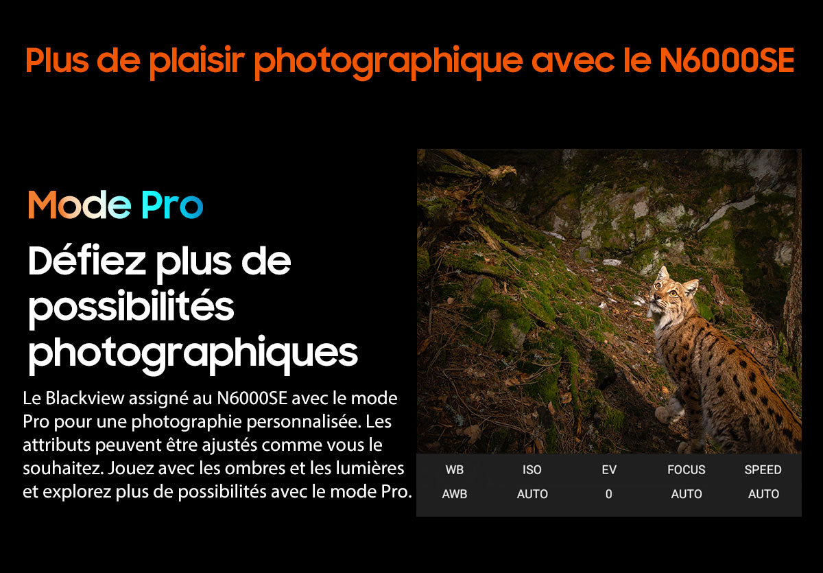 Blackview N6000SE Téléphone Mini Robuste de 4,3 Pouces