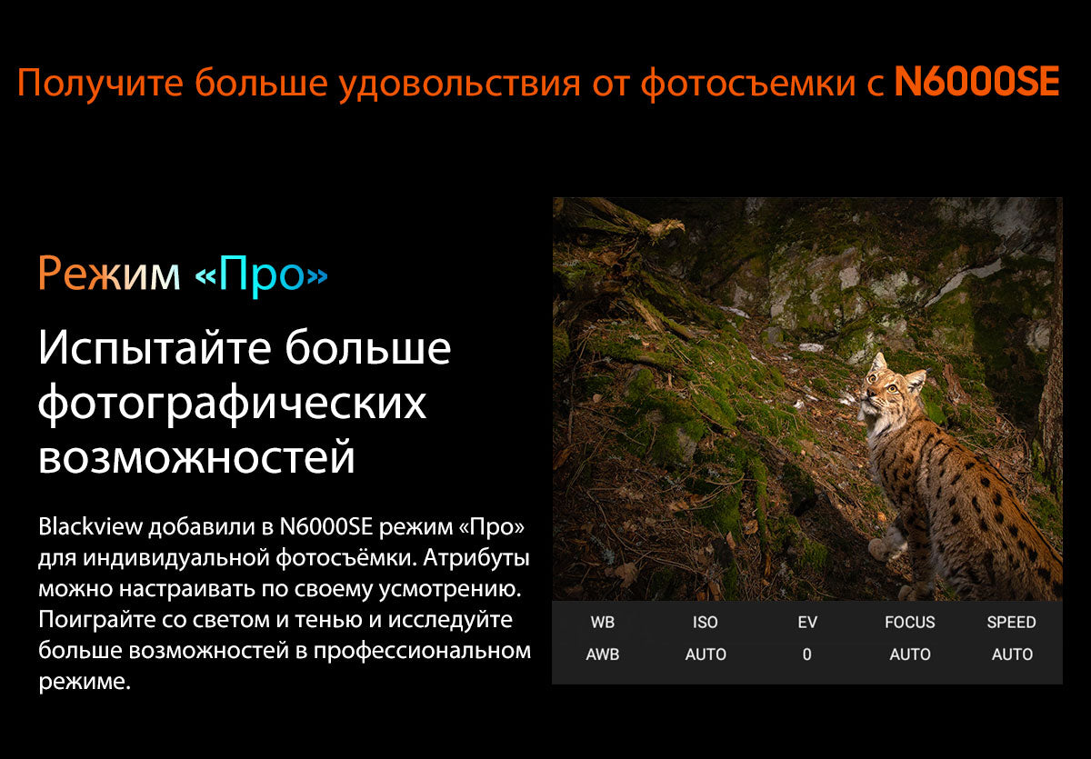 Blackview N6000SE 4.3-дюймовый мини-ударопрочный телефон